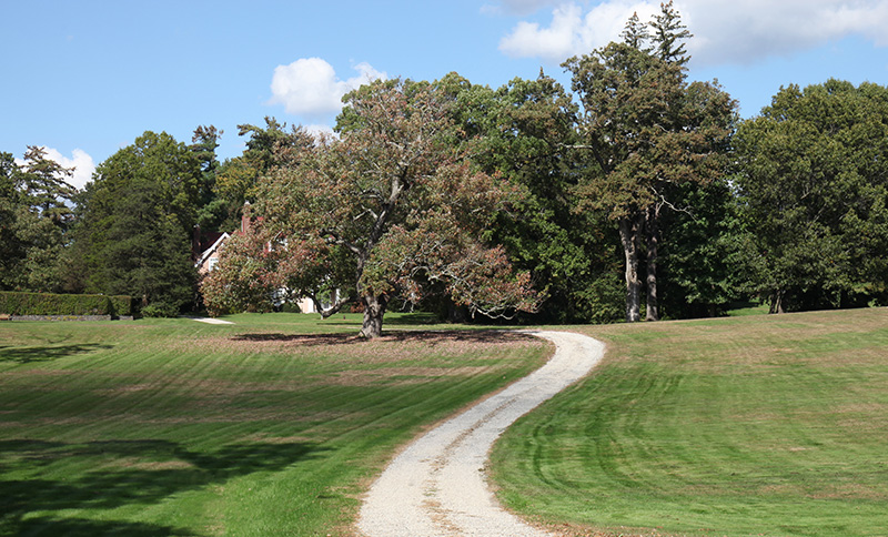 old driveway